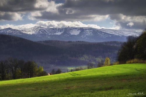 Wiosna, łąki w Karkonoszach